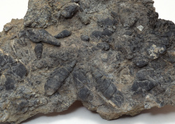 Datacraft Sozaijiten - 011 Fossils (200xHQ) 71Kc9bal