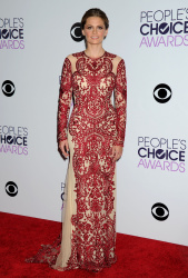 Stana Katic - 40th People's Choice Awards held at Nokia Theatre L.A. Live in Los Angeles (January 8, 2014) - 84xHQ KCx3gD3J